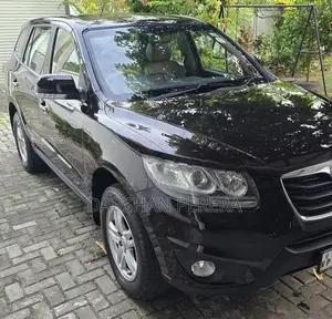 Hyundai Santa Fe 2010