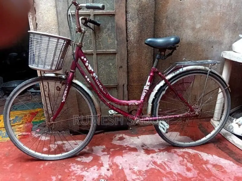 Ladies Bicycle