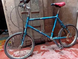 Allow Kids Bicycle