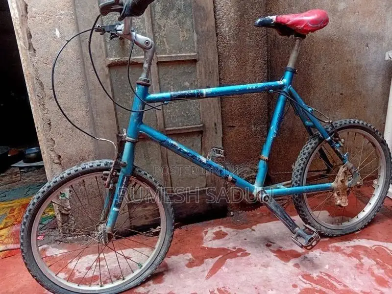 Allow Kids Bicycle