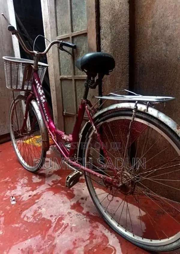 Ladies Bicycle