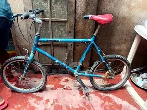 Allow Kids Bicycle