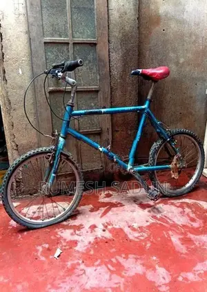 Allow Kids Bicycle