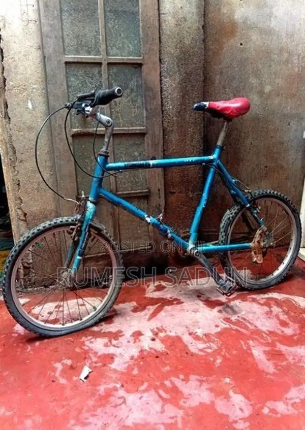 Allow Kids Bicycle