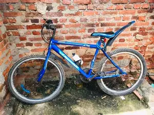 Bicycle Lumstar