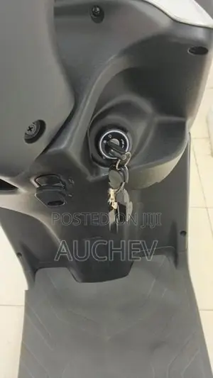 AUCHEV Pisces 2026