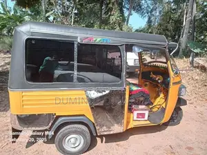 Piaggio Ape 2010