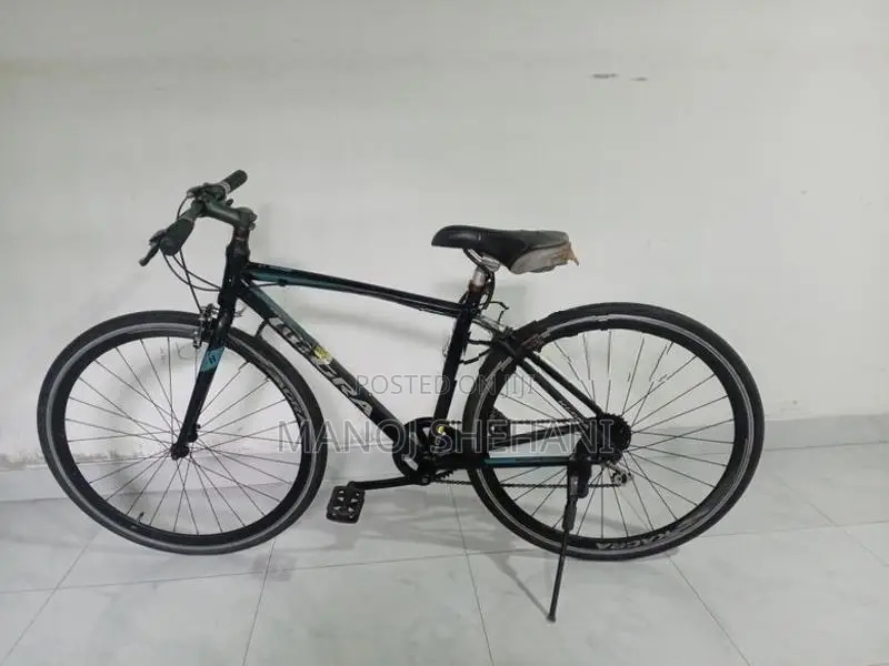 Japan Bicycle (Kagra)