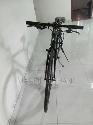 Japan Bicycle (Kagra)