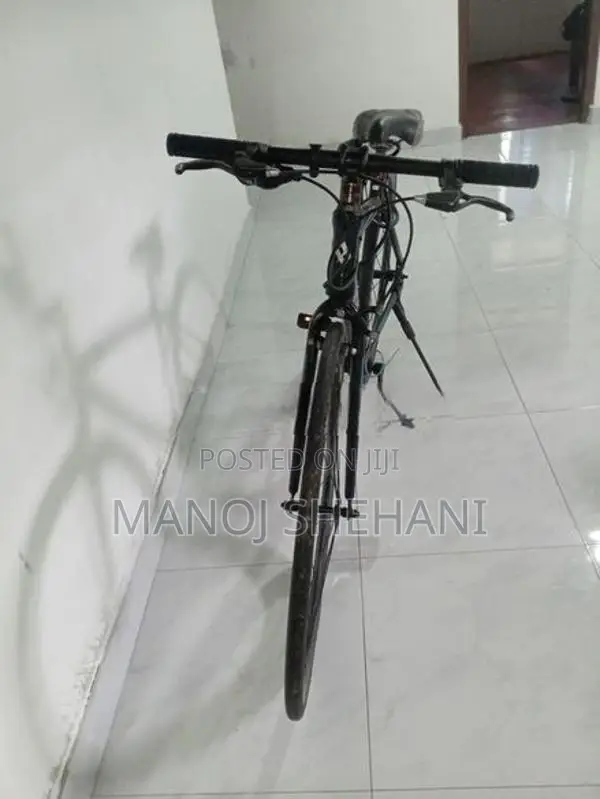 Japan Bicycle (Kagra)