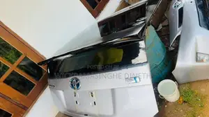 Prius Dicky Door 2012