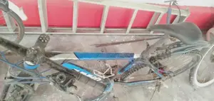 Mountain Bicycle