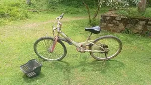 Used Ladies Foot Bicycle