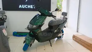 AUCHEV Pisces 2026