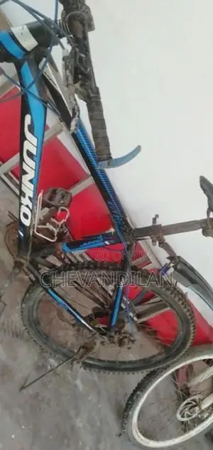 Mountain Bicycle