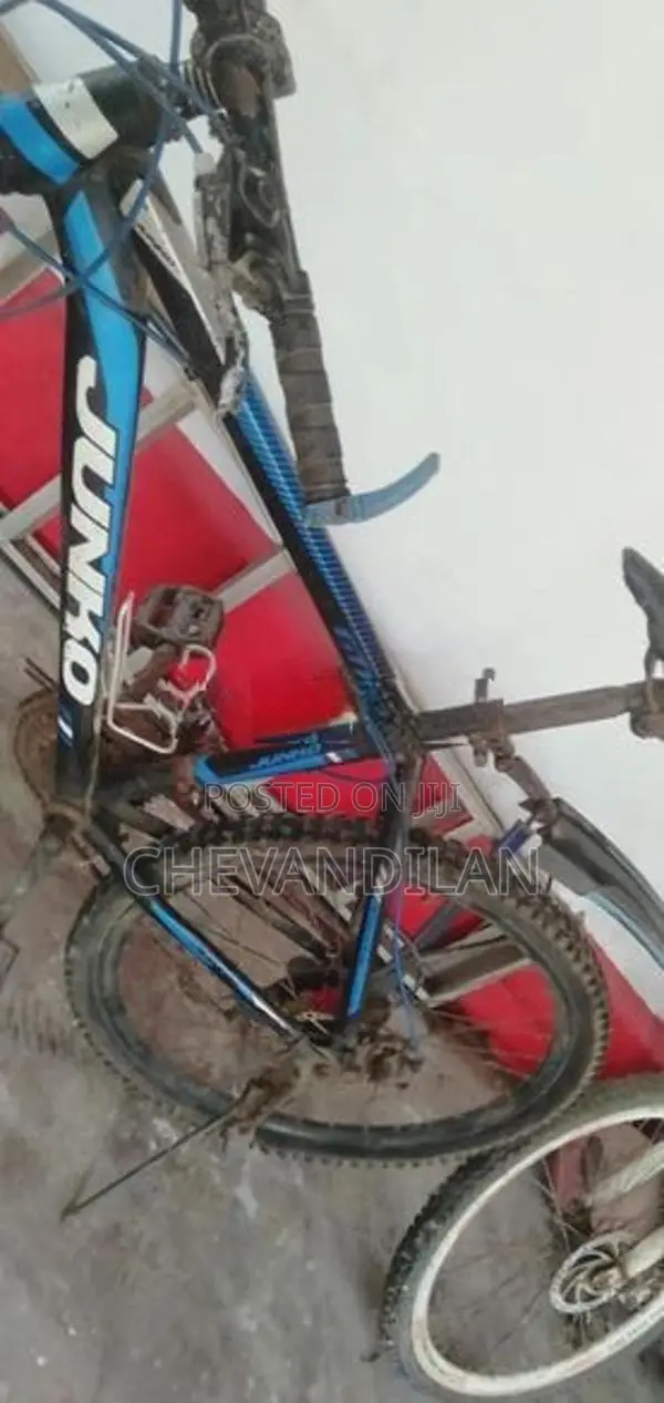 Mountain Bicycle