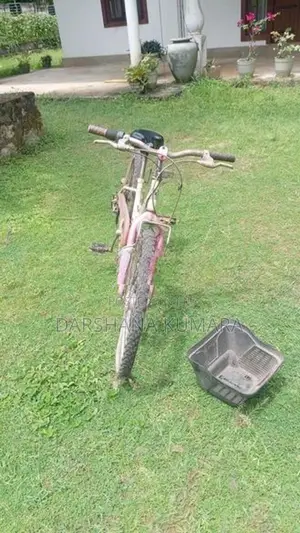 Used Ladies Foot Bicycle