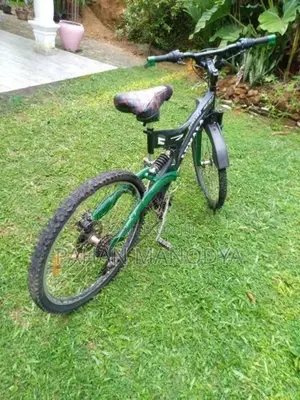 Lumala Bicycle
