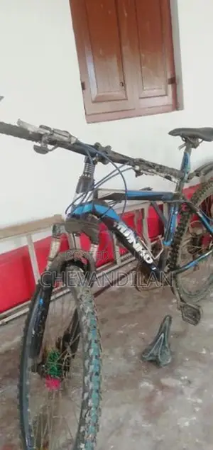 Mountain Bicycle