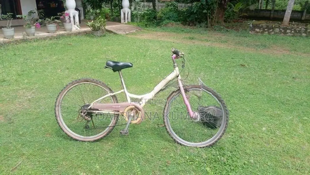 Used Ladies Foot Bicycle