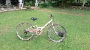 Used Ladies Foot Bicycle