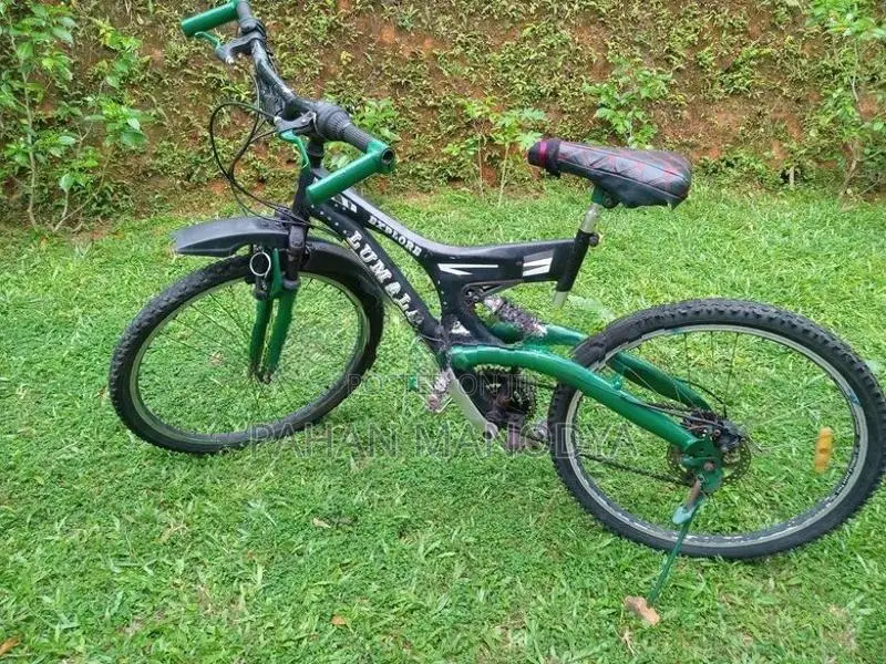 Lumala Bicycle