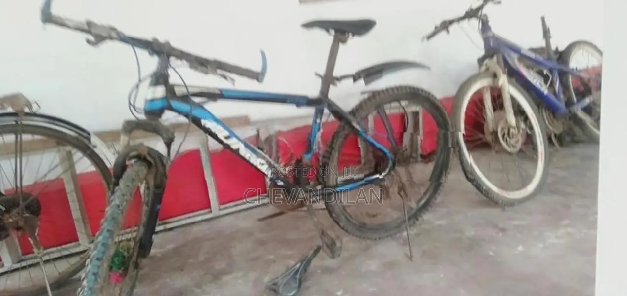 Mountain Bicycle