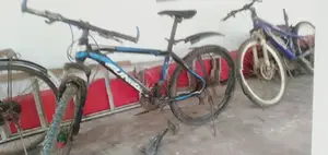 Mountain Bicycle