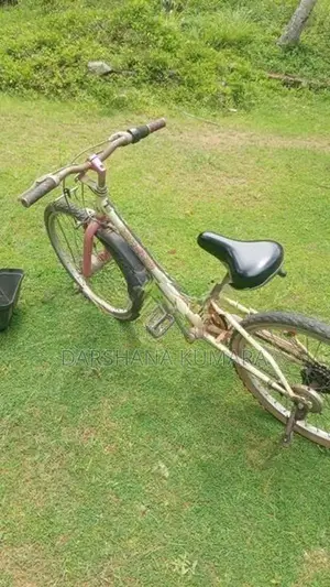 Used Ladies Foot Bicycle