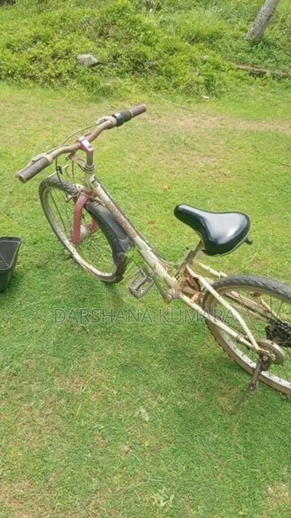 Used Ladies Foot Bicycle