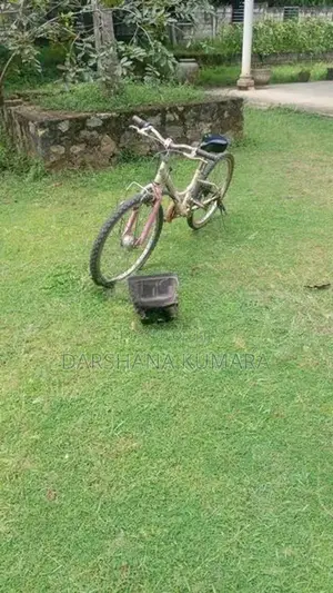 Used Ladies Foot Bicycle
