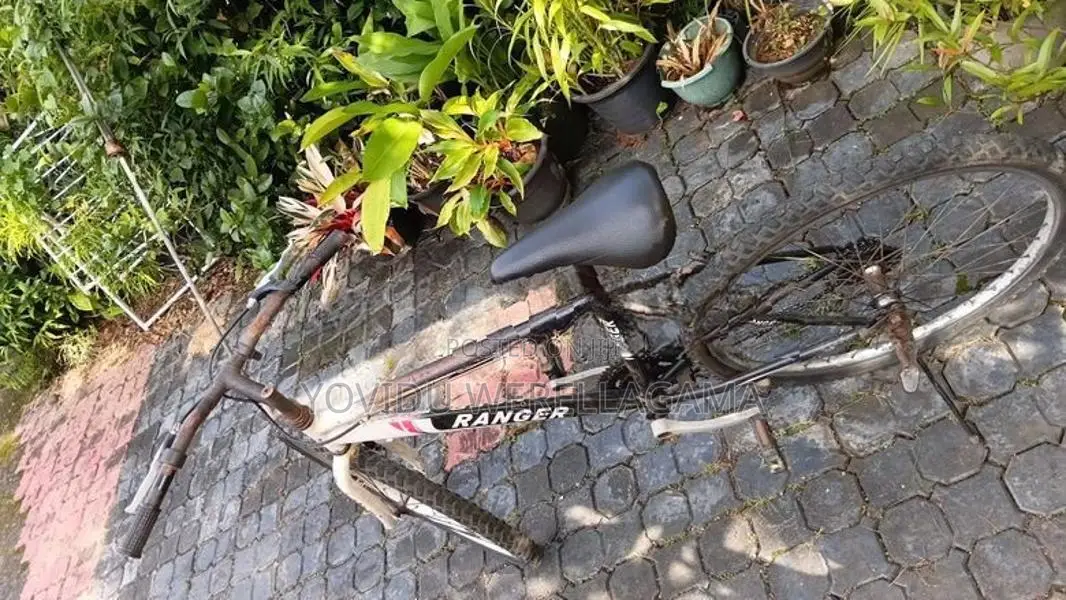 Cycle