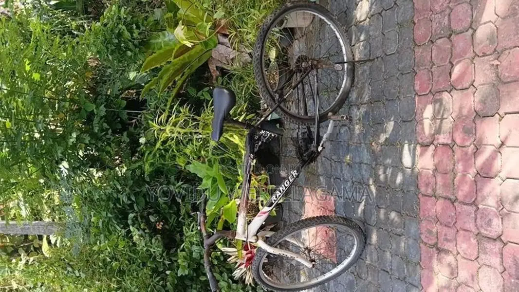 Cycle