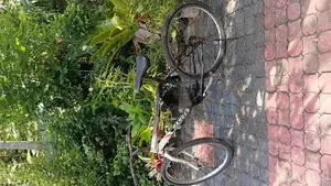 Cycle