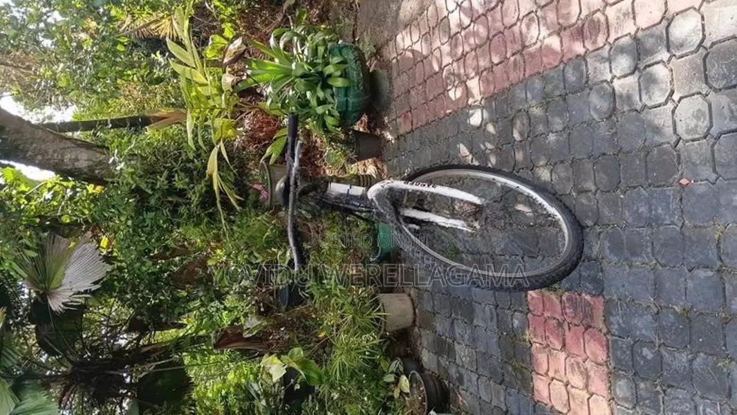 Cycle