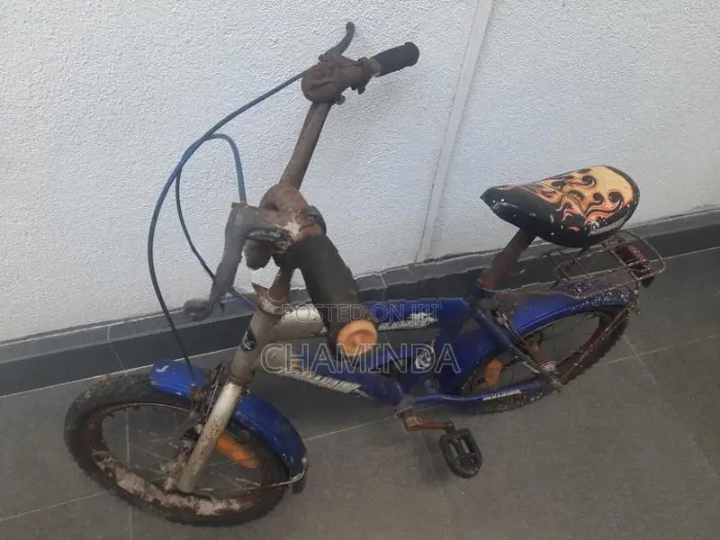 Bicycle