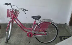 Ladies Bicycle