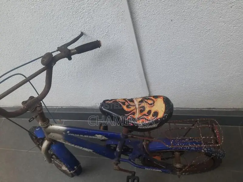 Bicycle