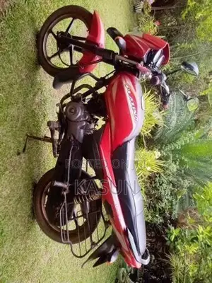 Bajaj Platina 100 100es 2016