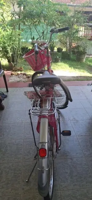 Ladies Bicycle