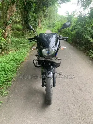 Bajaj Pulsar 150 Twin Disc 2019