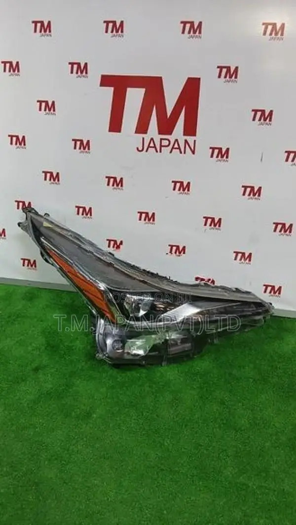 Toyota Prius 51 Head Light