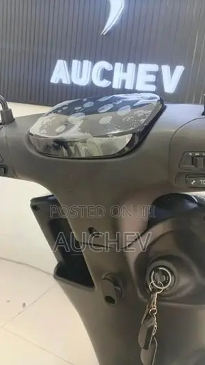 AUCHEV Pisces 2026