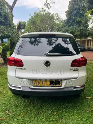 Volkswagen Tiguan 2.0 Tsi 4 Motion 2011