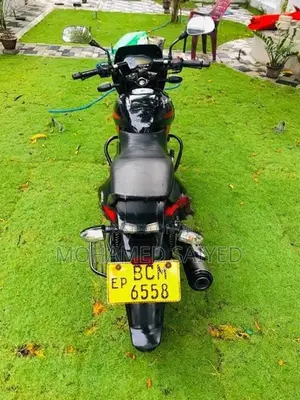 Bajaj Pulsar 150 2015