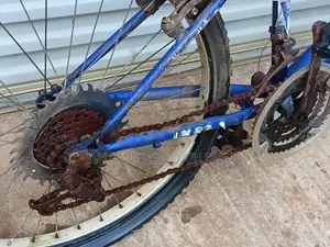 Lumala Bicycle