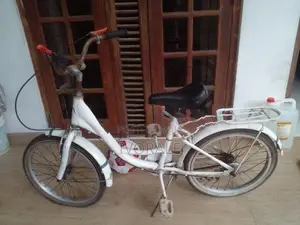 Ladies Bicycle