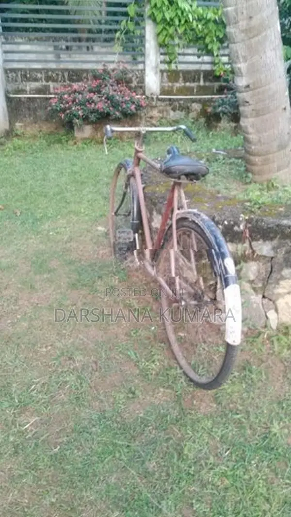 Bicycle