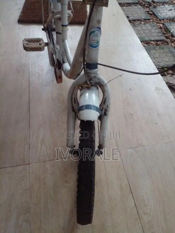Ladies Bicycle