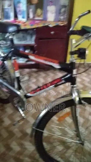 Rally Bicycle Brand New